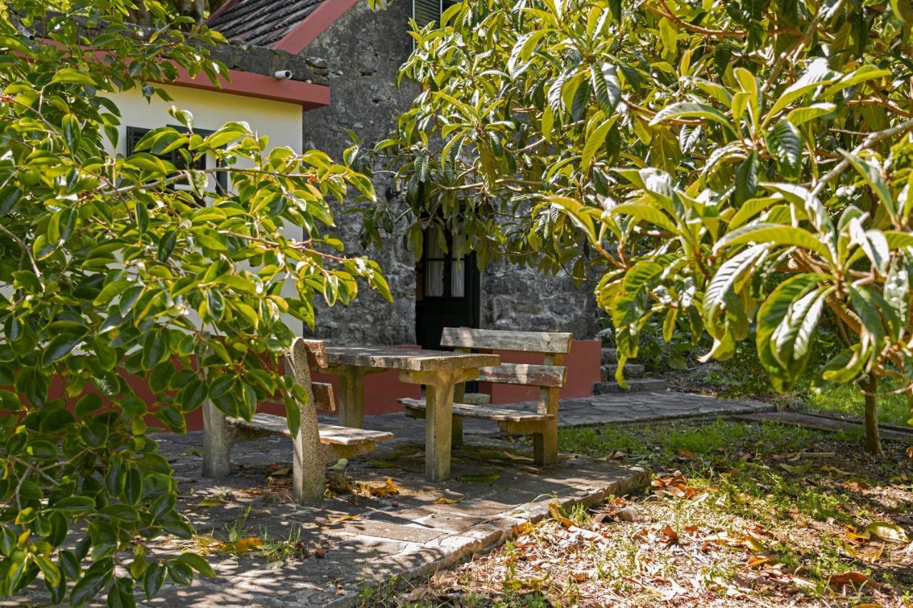 Casas Do Lanco By An Island Apart São Vicente Dış mekan fotoğraf